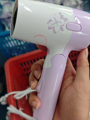 ANBOLIFE Professional Hair Dryer with 2 Speed Settings 220-240V Foldable Travel Blow Dryer